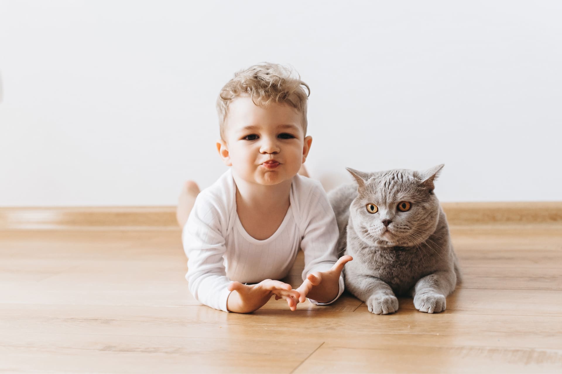 Kissa ja vauva: mitkä asiat ovat tärkeitä yhdessä asuttaessa?